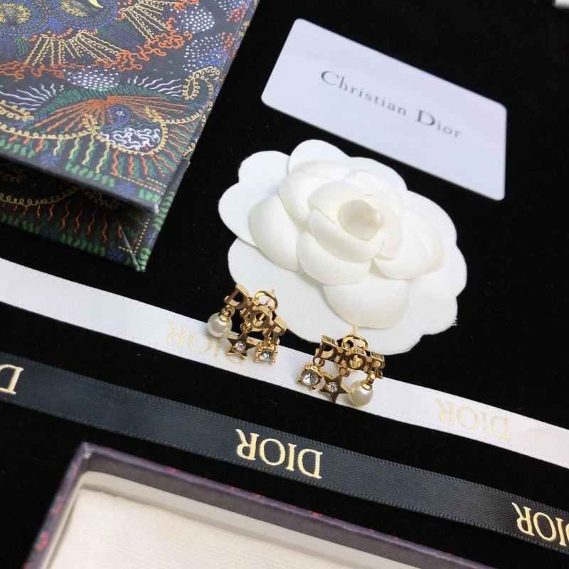 Sleek Christian Dior Earrings 235836