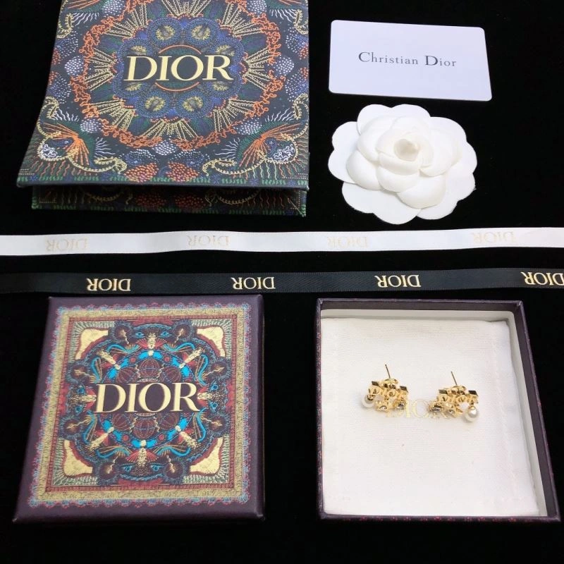 Sleek Christian Dior Earrings 235836