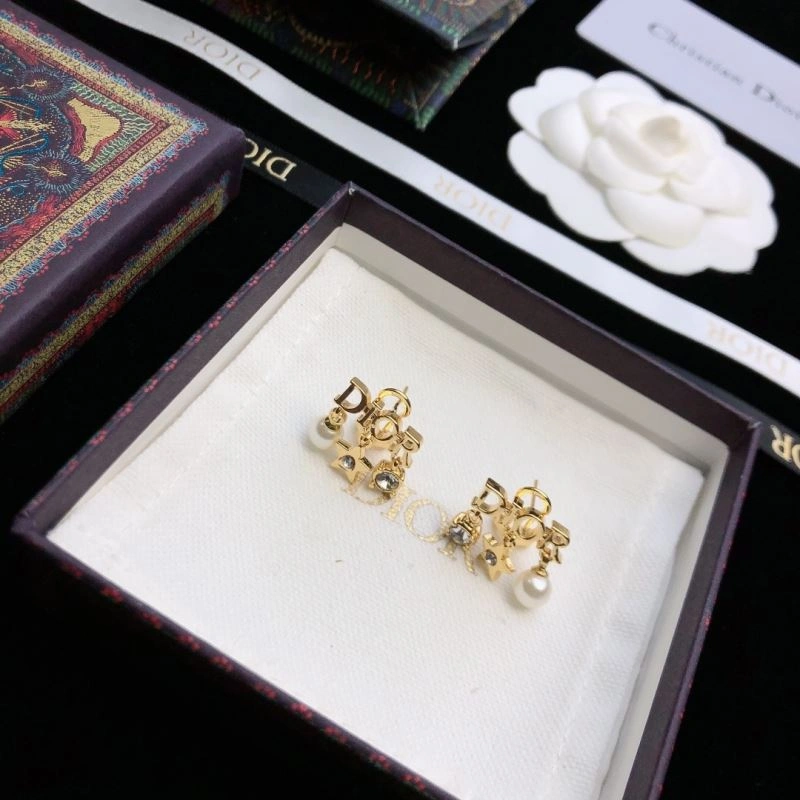 Sleek Christian Dior Earrings 235836