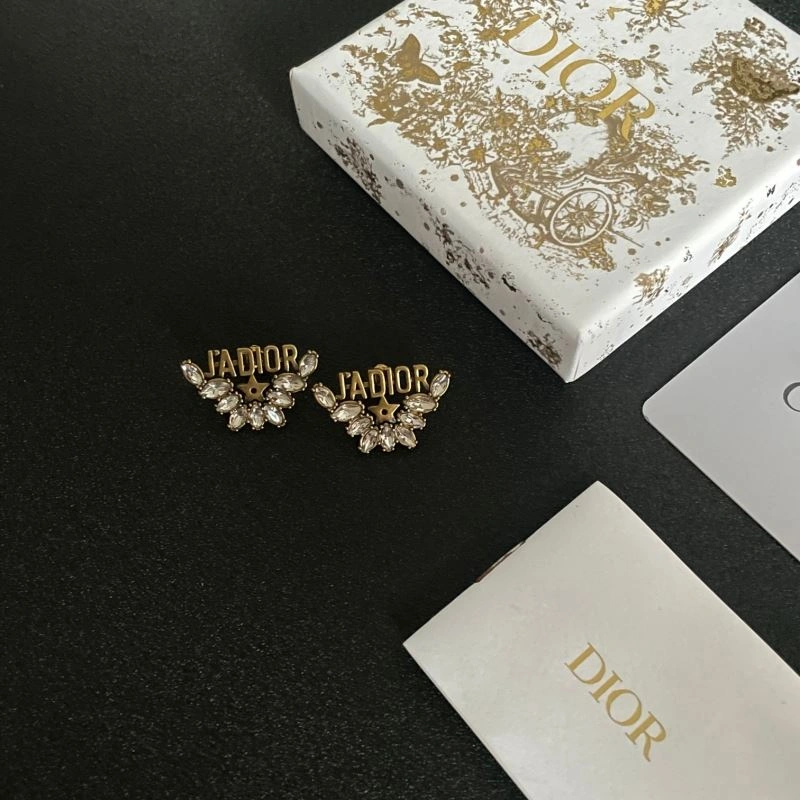 Christian Dior Earrings Durable 235768