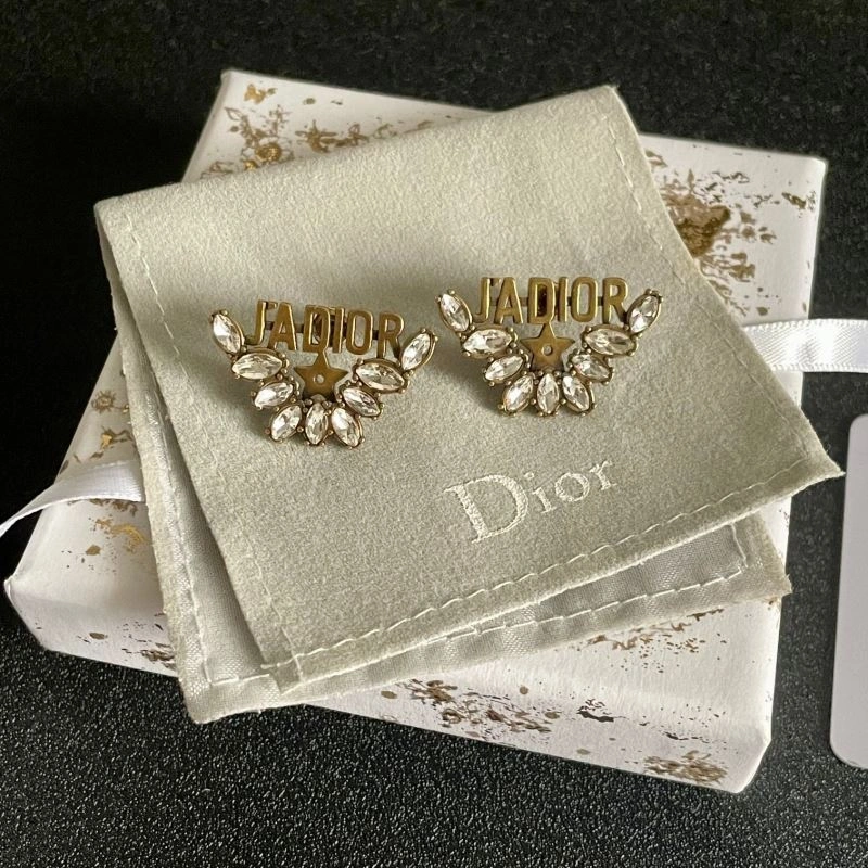 Christian Dior Earrings Durable 235768