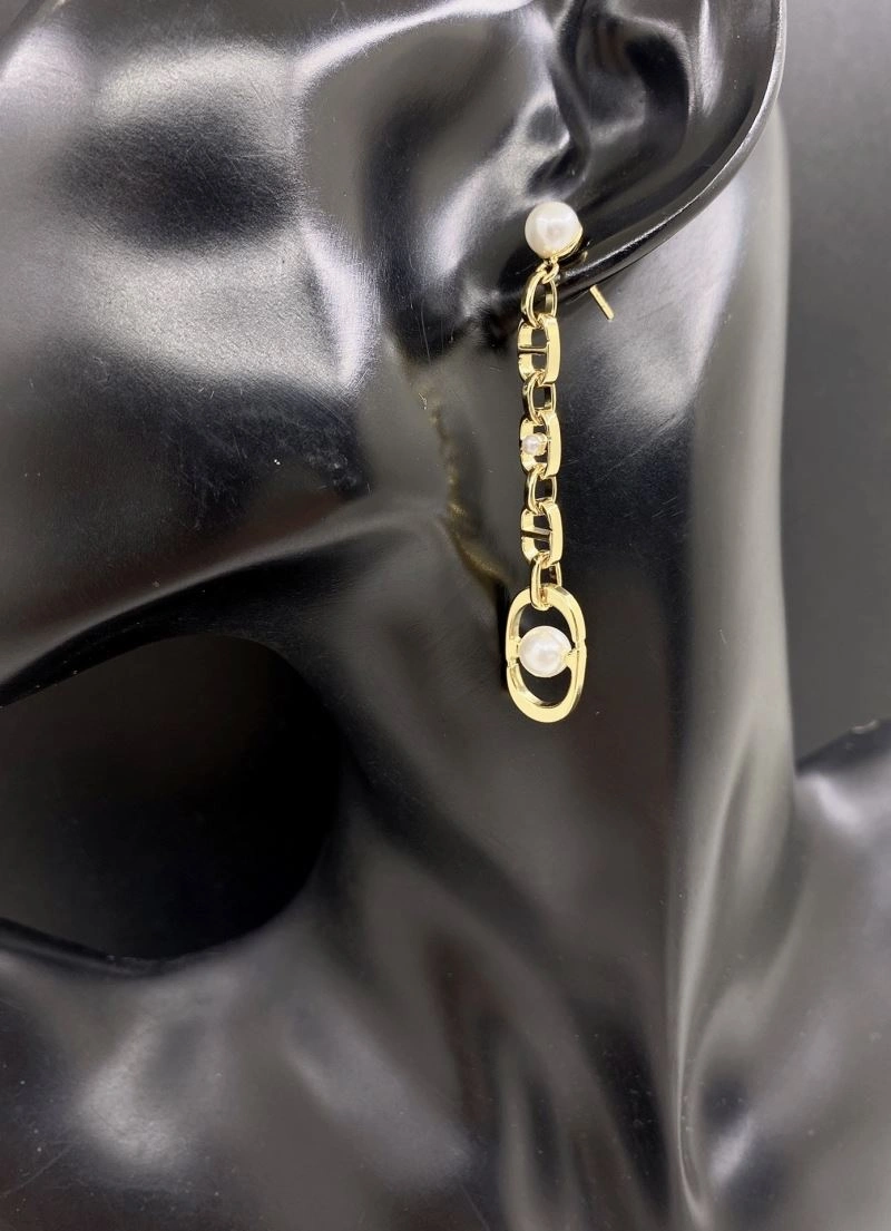 Unique Christian Dior Earrings 236349