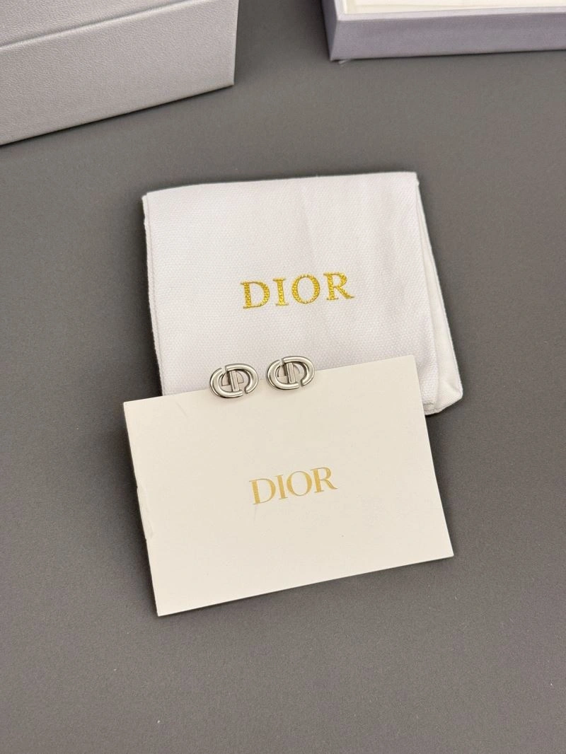 Casual Christian Dior Earrings 236342