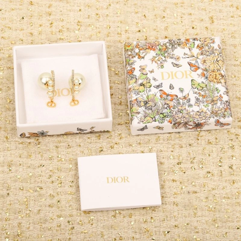 Christian Dior Earrings Modern 236328