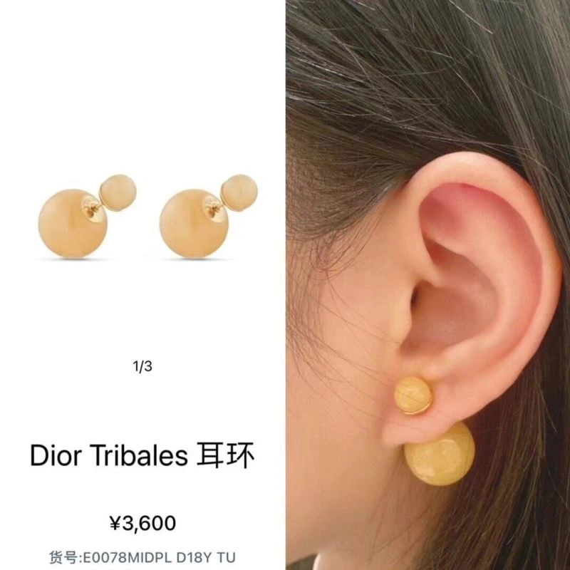 Fashionable Christian Dior Earrings 236330