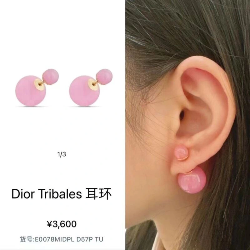 Fashionable Christian Dior Earrings 236330