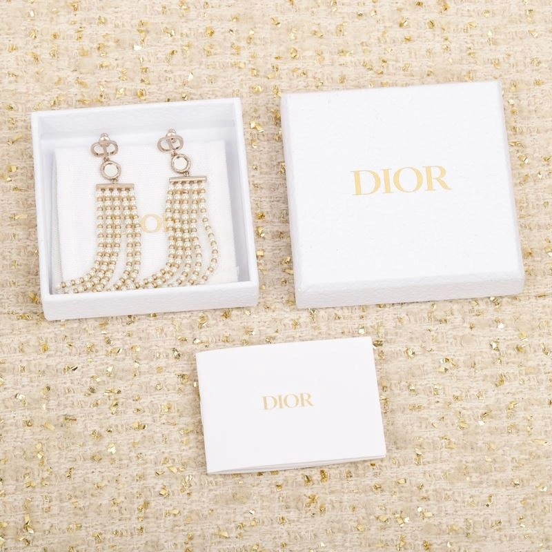 Lightweight Christian Dior Earrings 236331