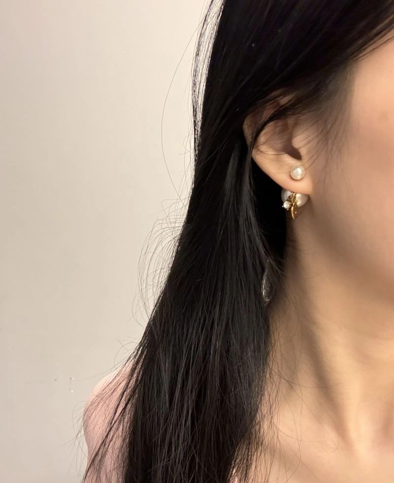 Compact Christian Dior Earrings 236332