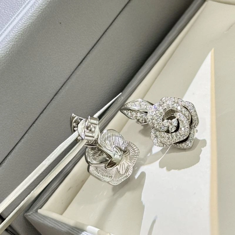 TravelReady Christian Dior Earrings 236327