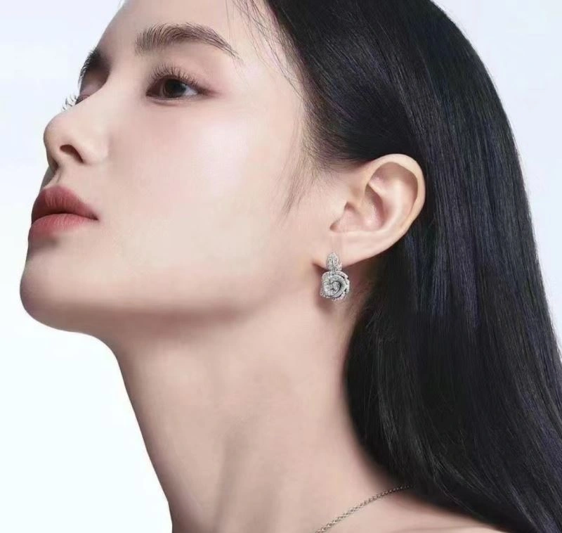 TravelReady Christian Dior Earrings 236327