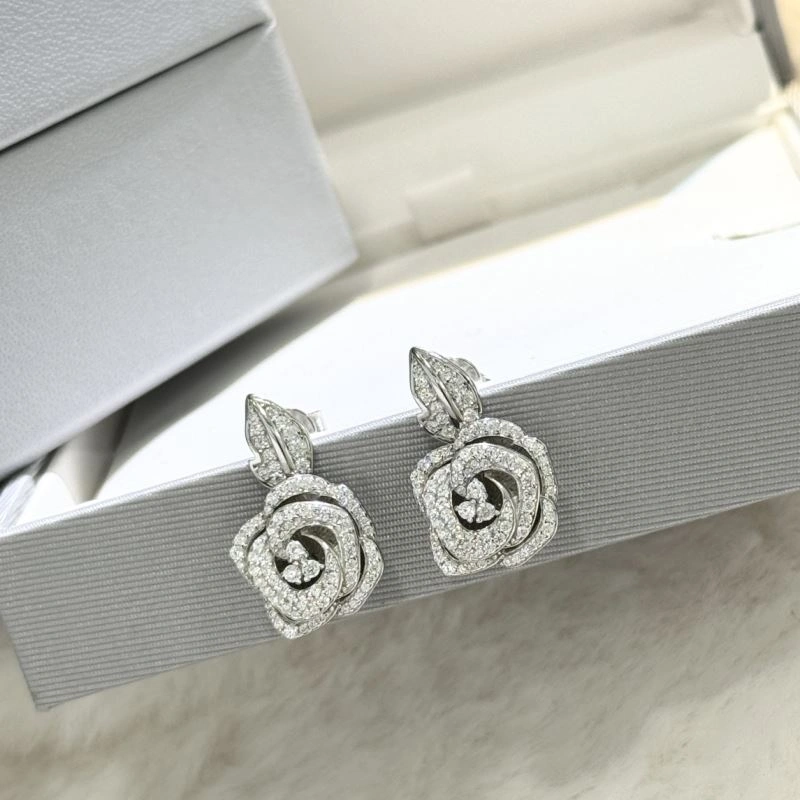 TravelReady Christian Dior Earrings 236327