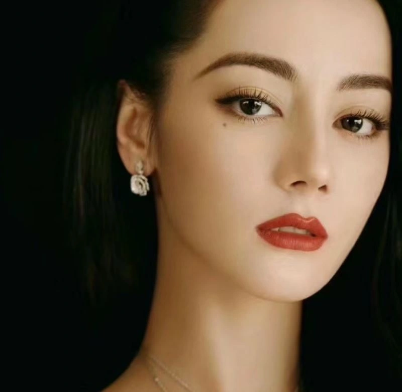 TravelReady Christian Dior Earrings 236327