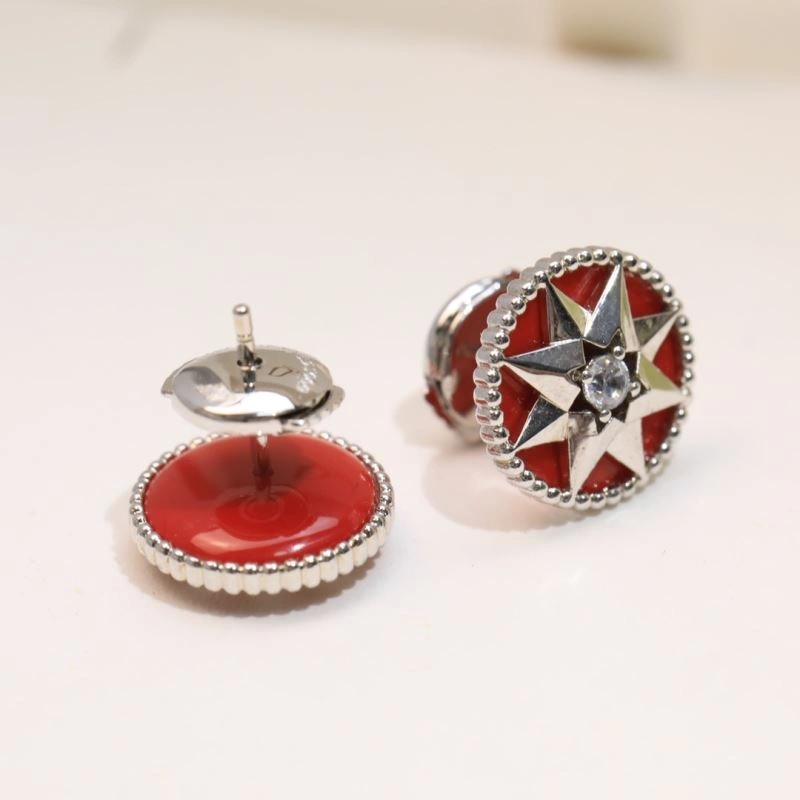 TopPick Christian Dior Earrings 236306