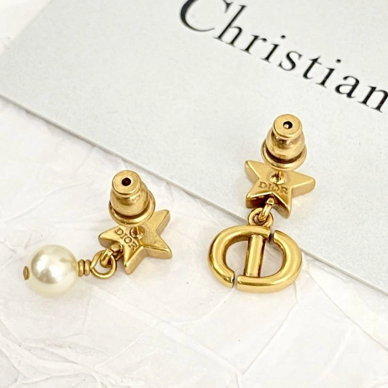 Durable Christian Dior Earrings 236315