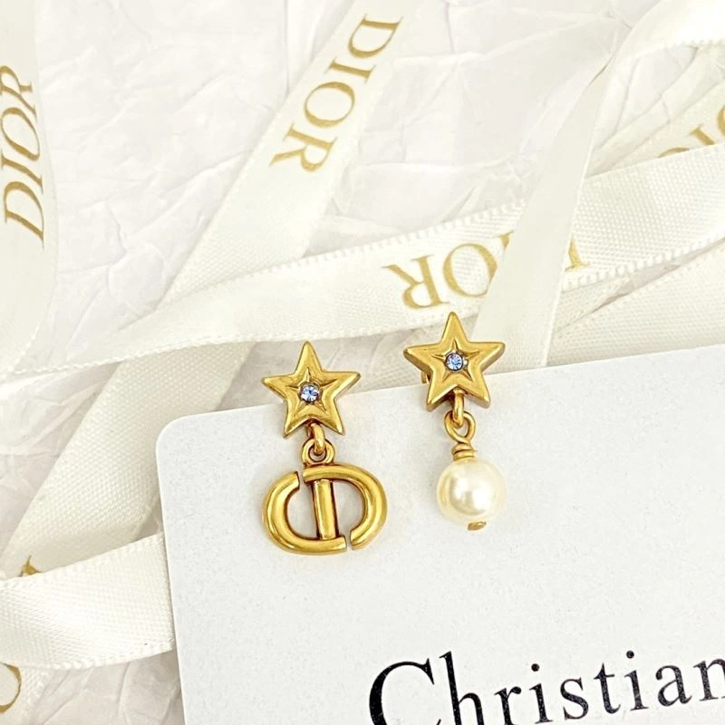 Durable Christian Dior Earrings 236315