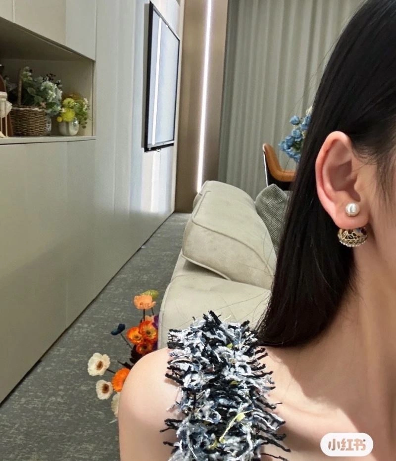 TopPick Christian Dior Earrings 236313