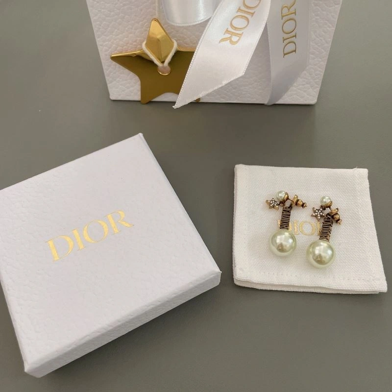 Stretchable Christian Dior Earrings 236299
