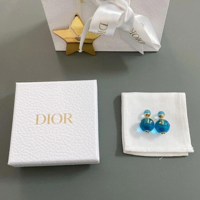 Resilient Christian Dior Earrings 236300