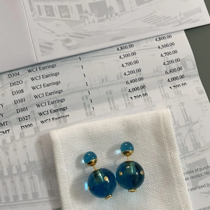 Resilient Christian Dior Earrings 236300