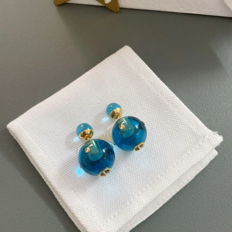 Resilient Christian Dior Earrings 236300