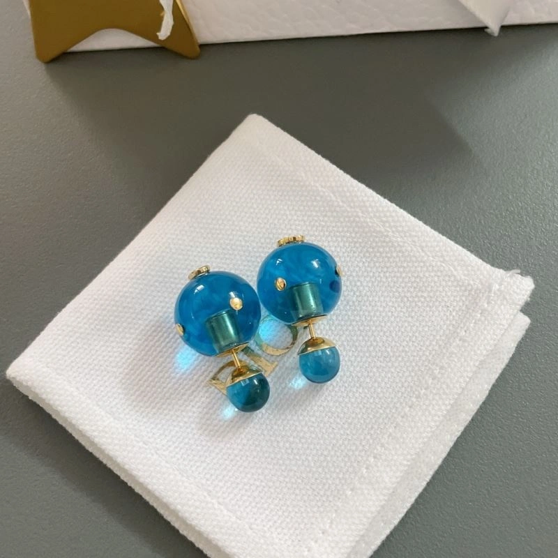 Resilient Christian Dior Earrings 236300