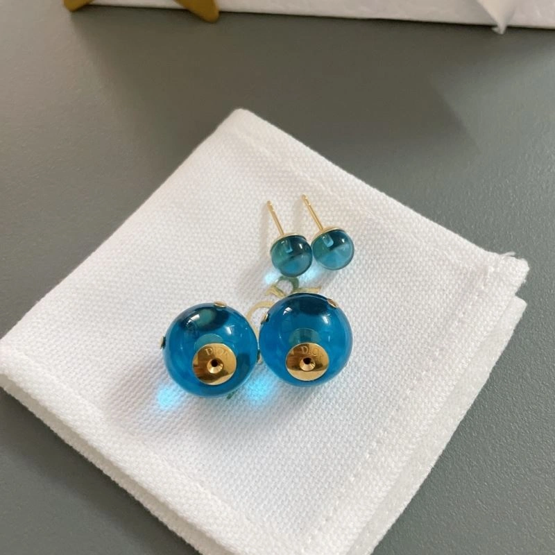 Resilient Christian Dior Earrings 236300