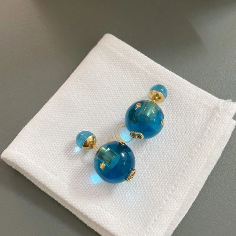 Resilient Christian Dior Earrings 236300