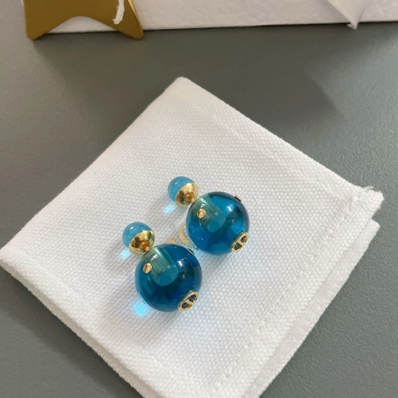 Resilient Christian Dior Earrings 236300