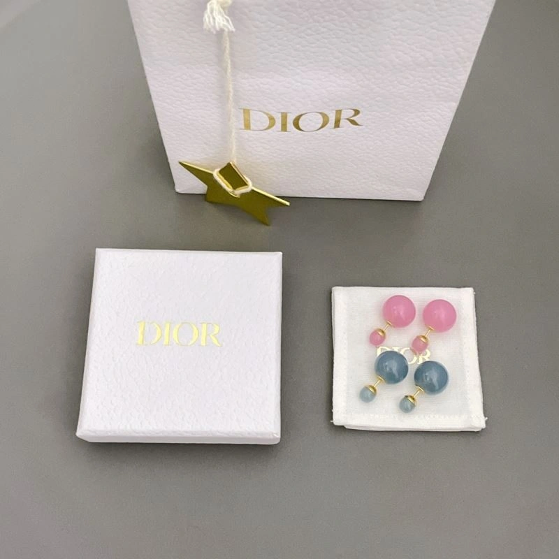 Christian Dior Earrings Packable 236304