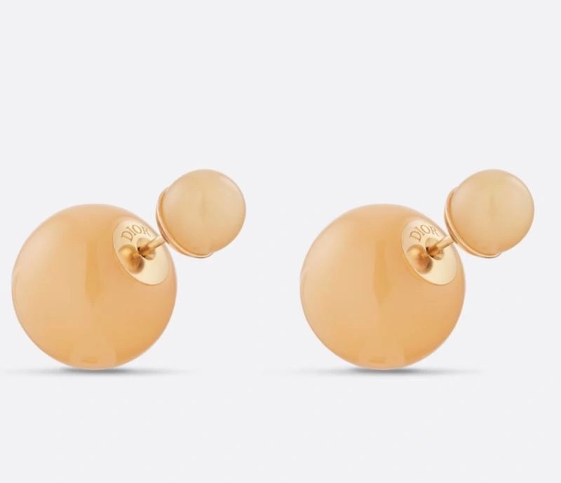 Christian Dior Earrings Packable 236304