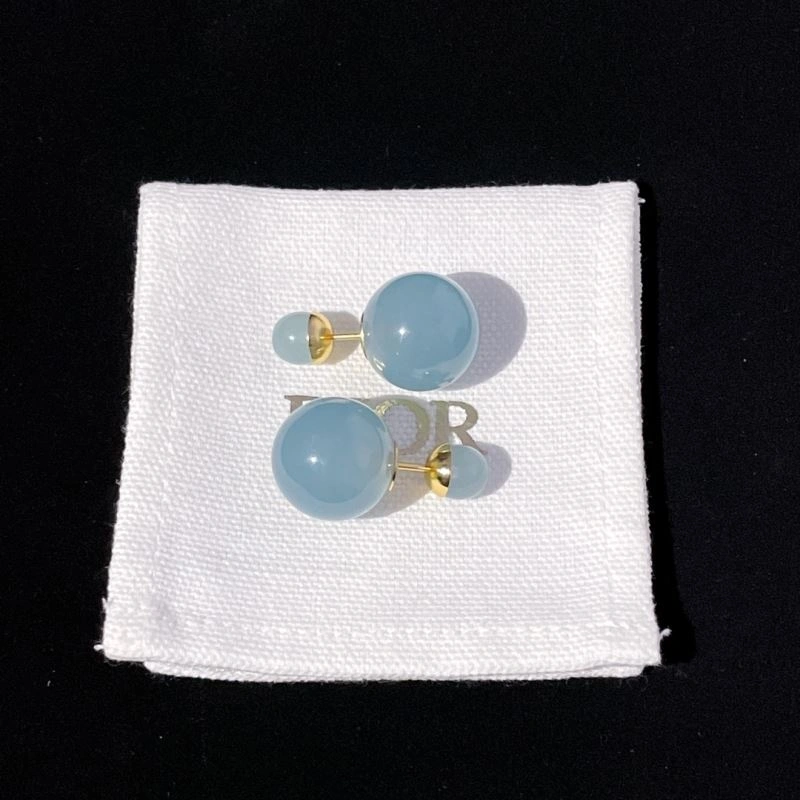 Christian Dior Earrings Packable 236304