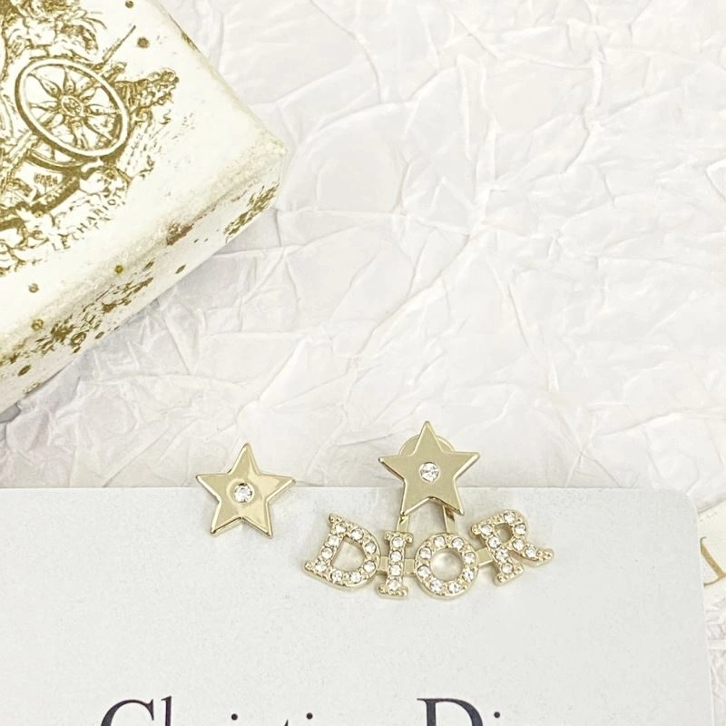Resilient Christian Dior Earrings 236301