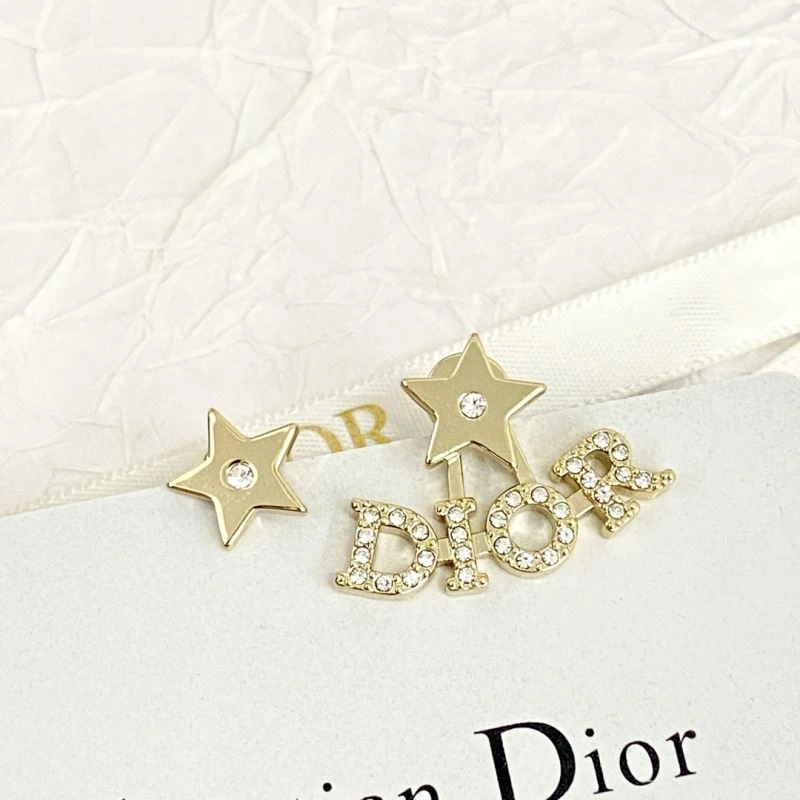 Resilient Christian Dior Earrings 236301