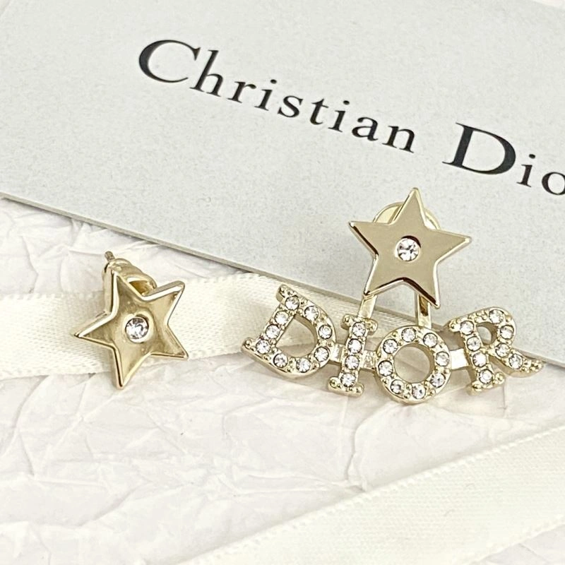 Resilient Christian Dior Earrings 236301