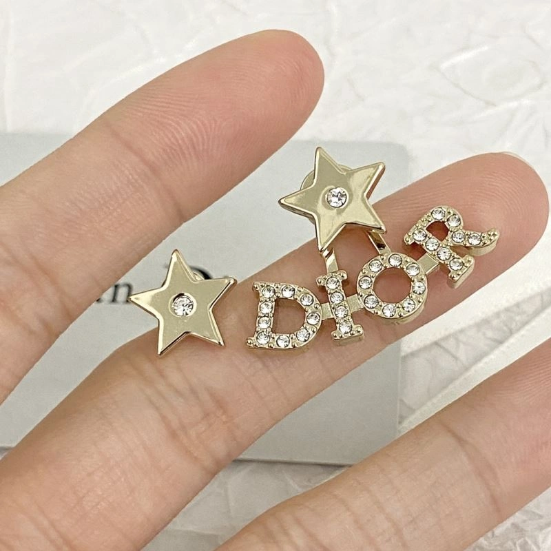 Resilient Christian Dior Earrings 236301
