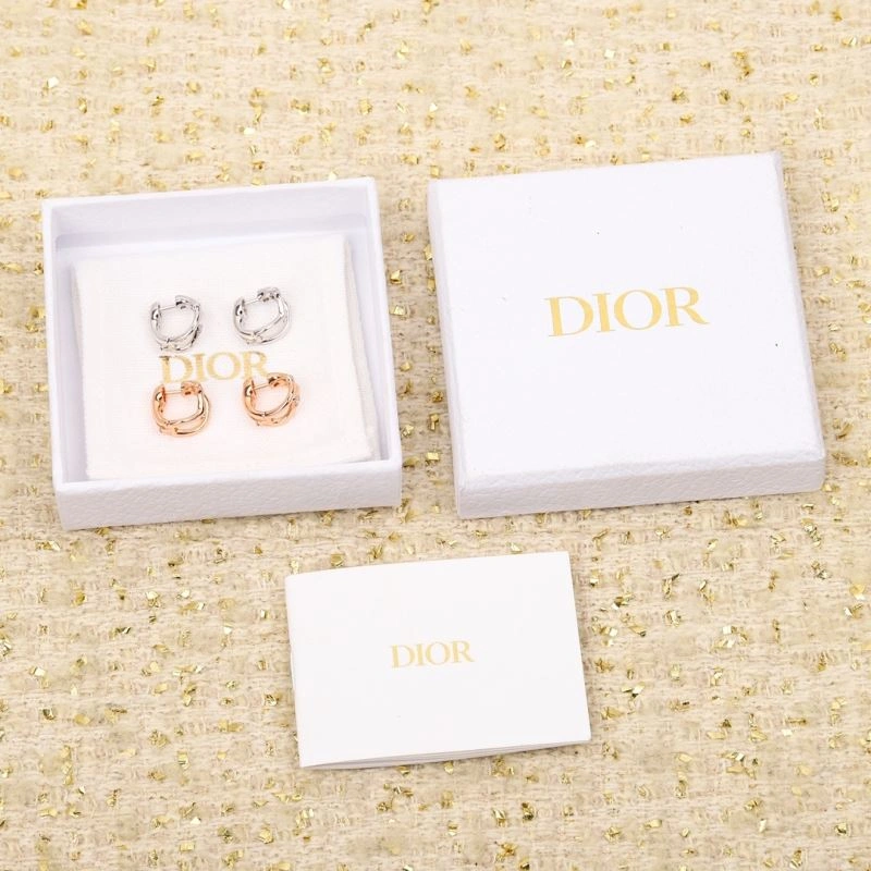 FlexibleFit Christian Dior Earrings 236363