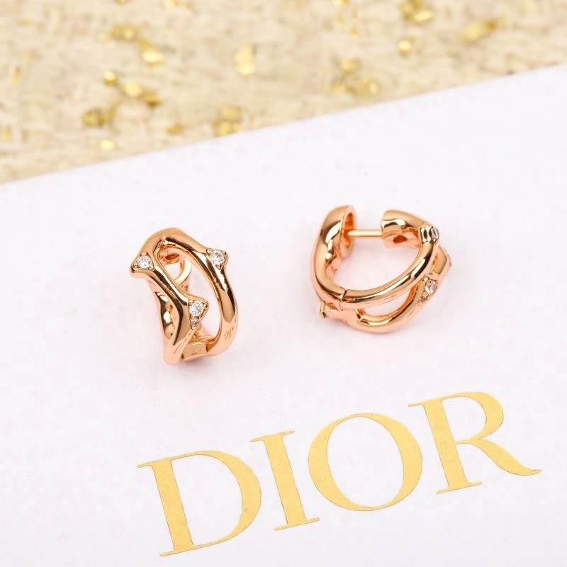FlexibleFit Christian Dior Earrings 236363