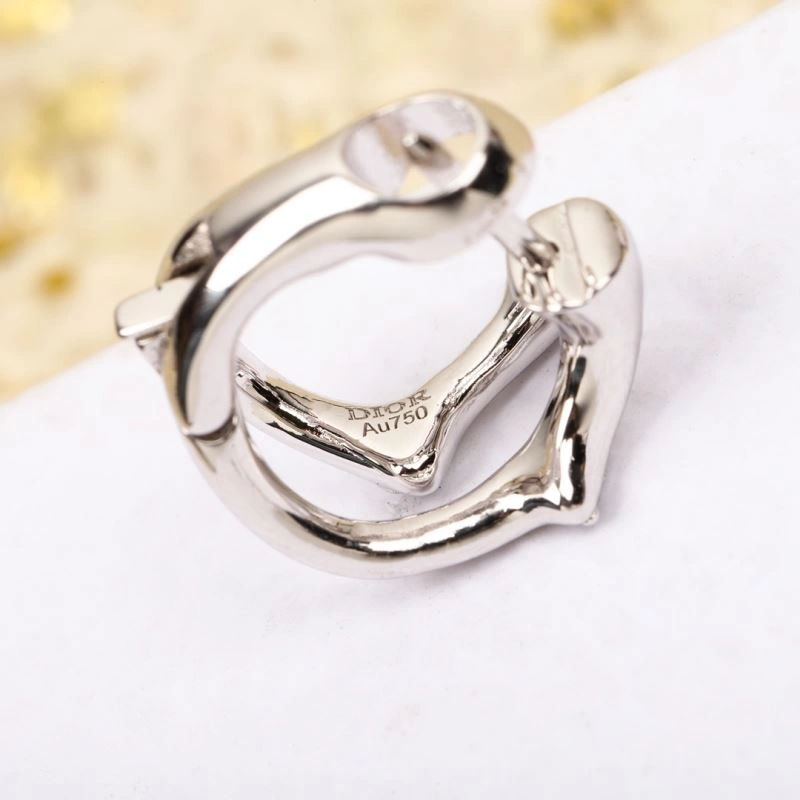 FlexibleFit Christian Dior Earrings 236363