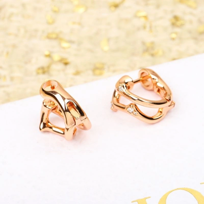 FlexibleFit Christian Dior Earrings 236363