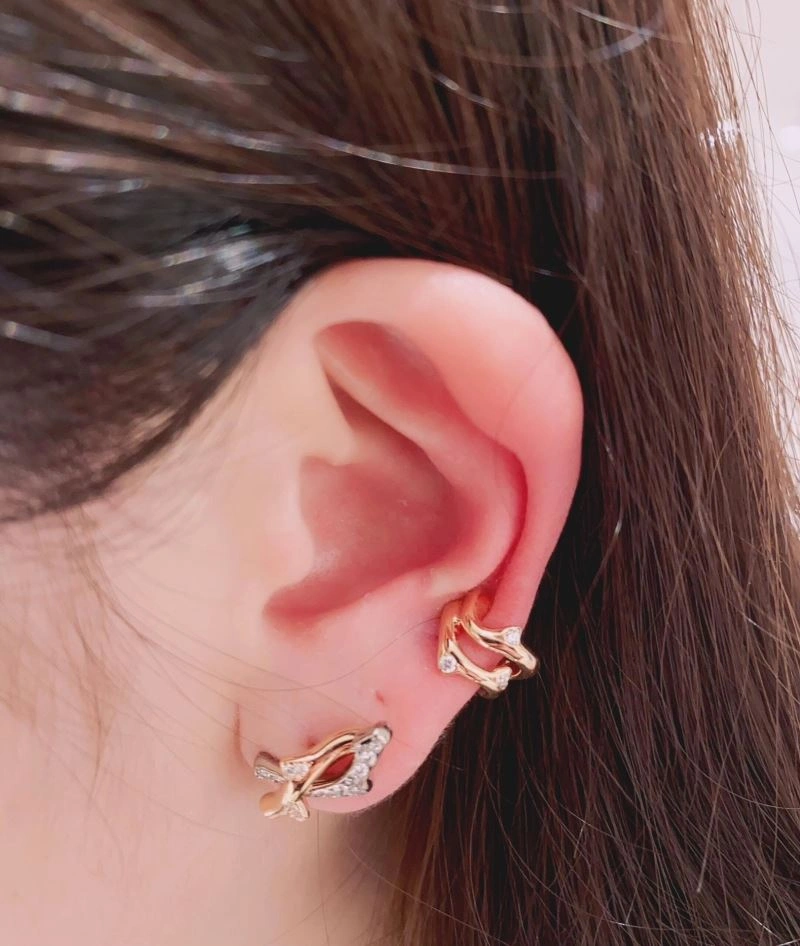 FlexibleFit Christian Dior Earrings 236363