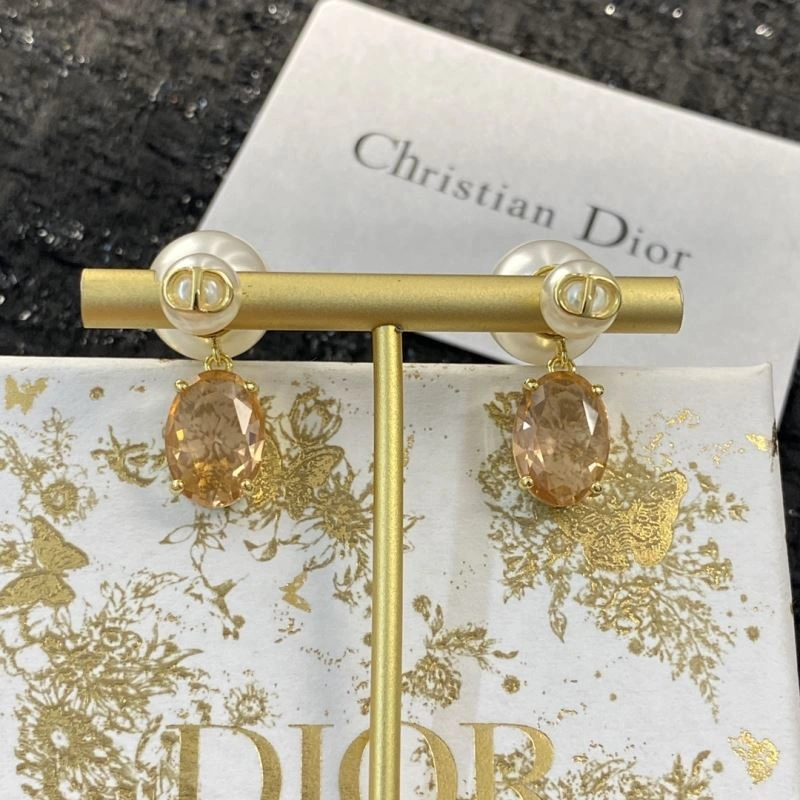 Trendsetting Christian Dior Earrings 236290