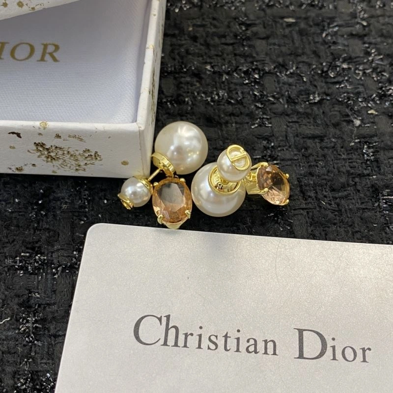 Trendsetting Christian Dior Earrings 236290
