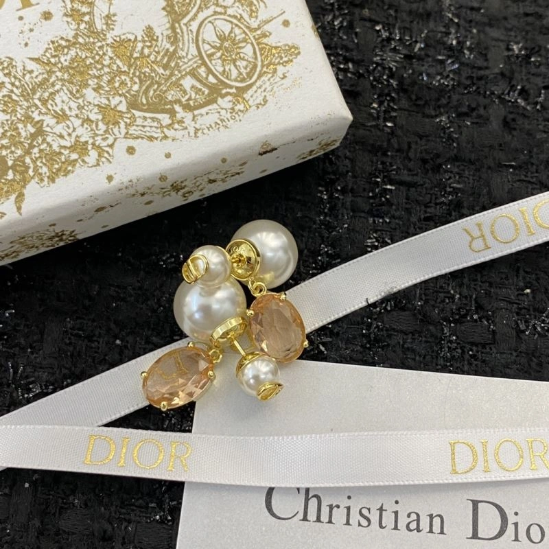Trendsetting Christian Dior Earrings 236290