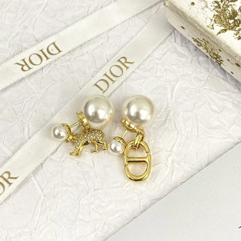 Casual Christian Dior Earrings 236274
