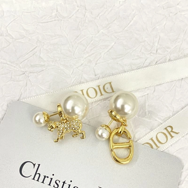 Casual Christian Dior Earrings 236274