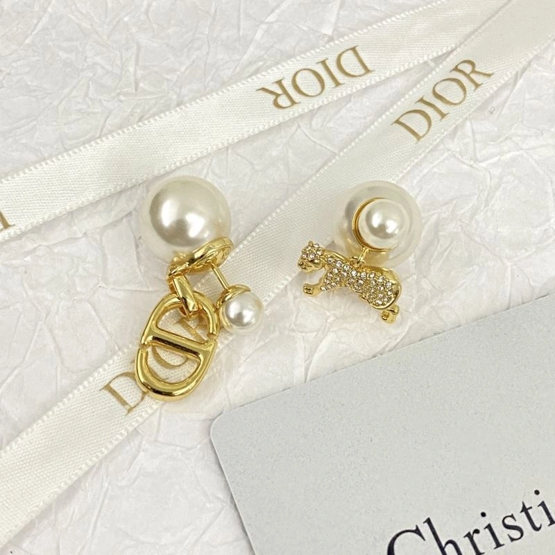 Casual Christian Dior Earrings 236274