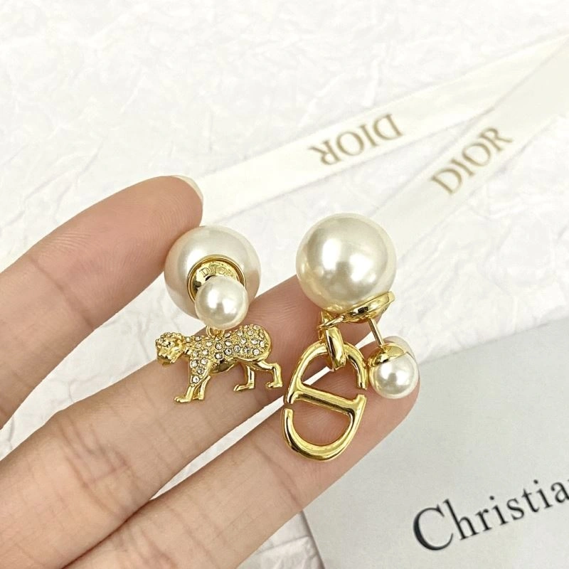 Casual Christian Dior Earrings 236274