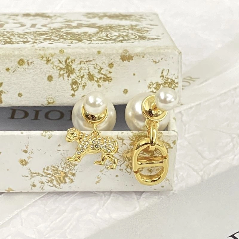 Casual Christian Dior Earrings 236274