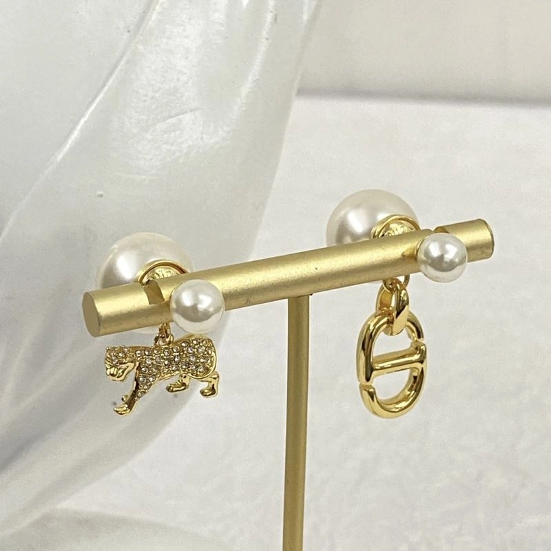 Casual Christian Dior Earrings 236274