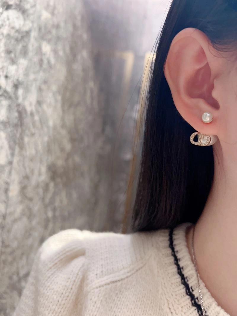 Functional Christian Dior Earrings 236180